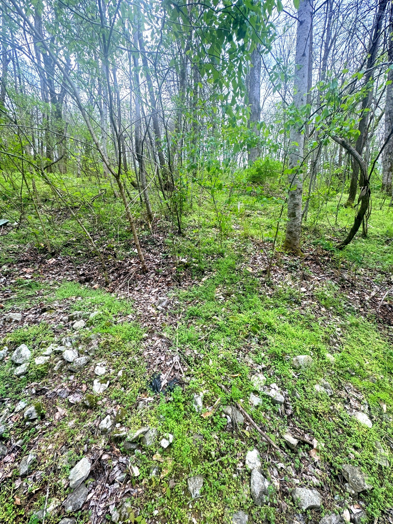 0 Lakeview Drive Smithville TN 37166