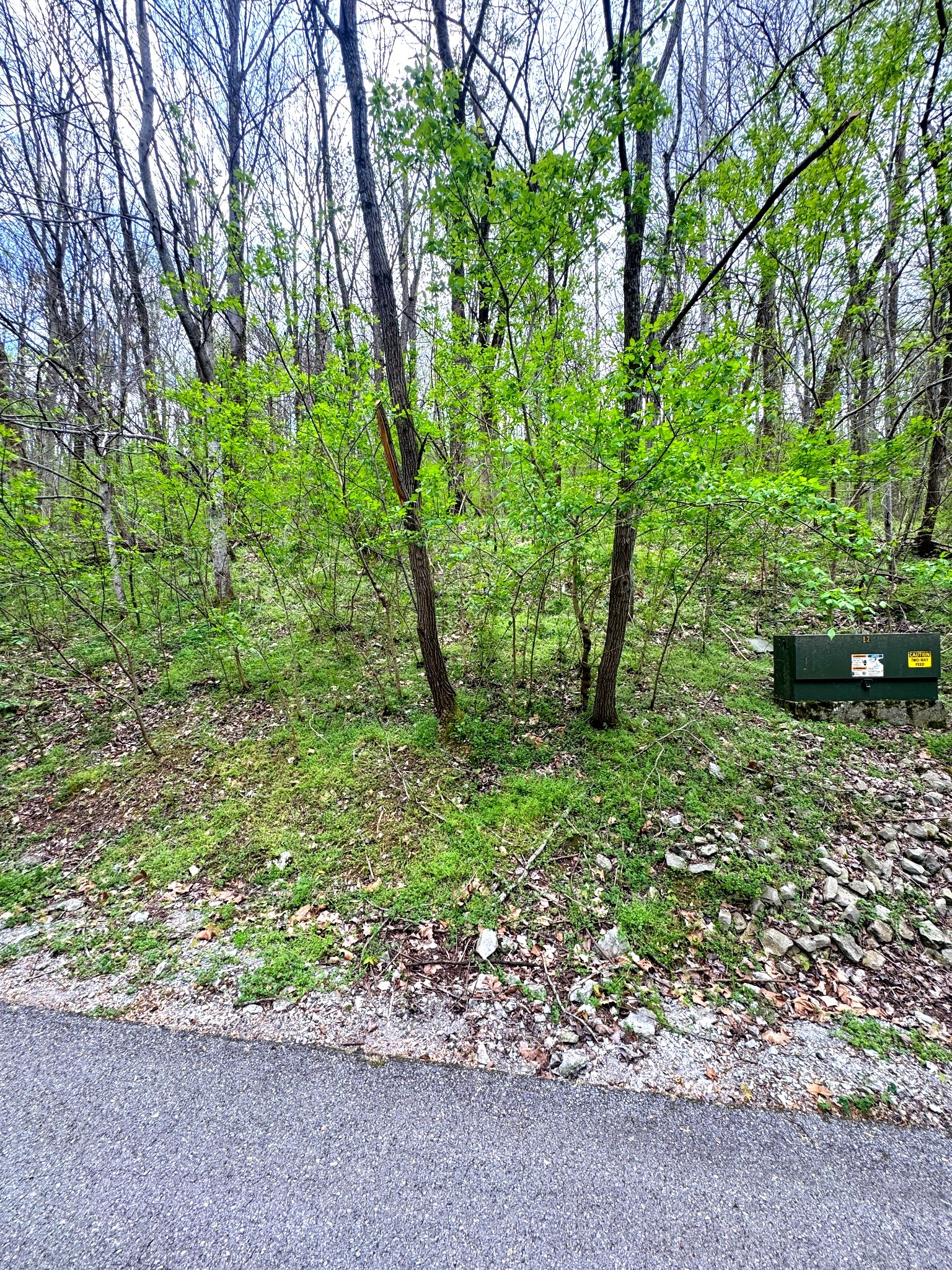 0 Lakeview Drive Smithville TN 37166