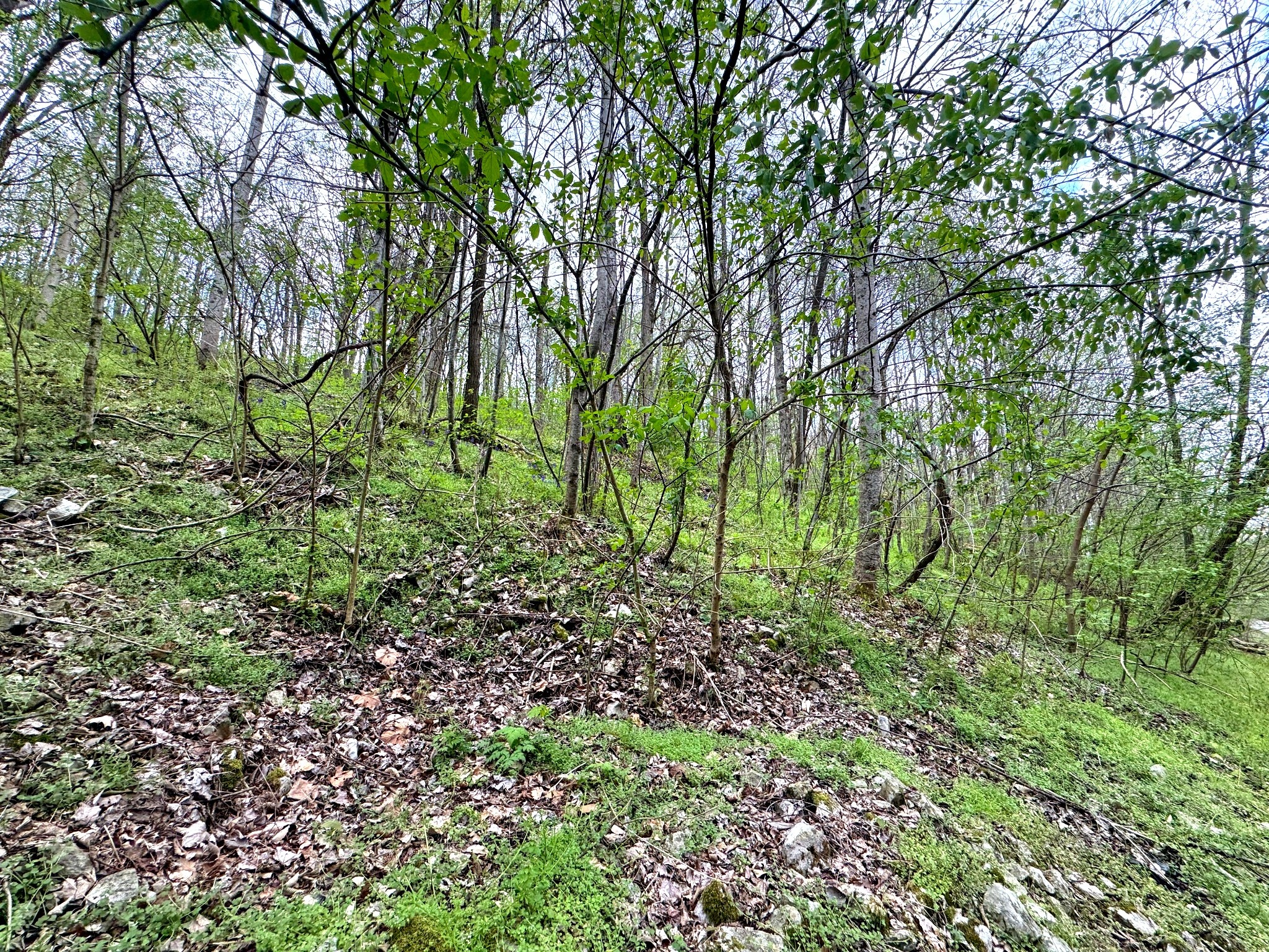 0 Lakeview Drive Smithville TN 37166
