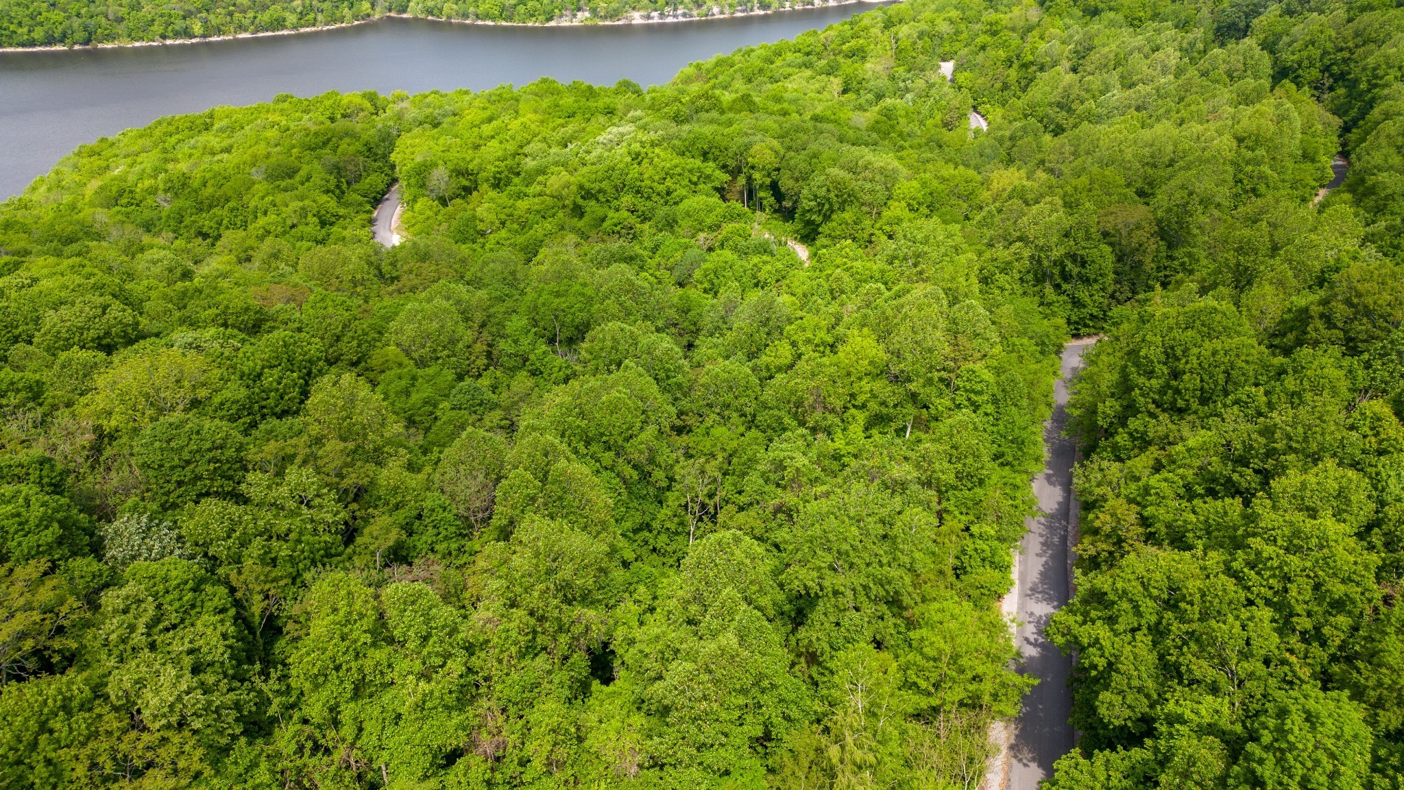 0 Lakeview Drive Smithville TN 37166