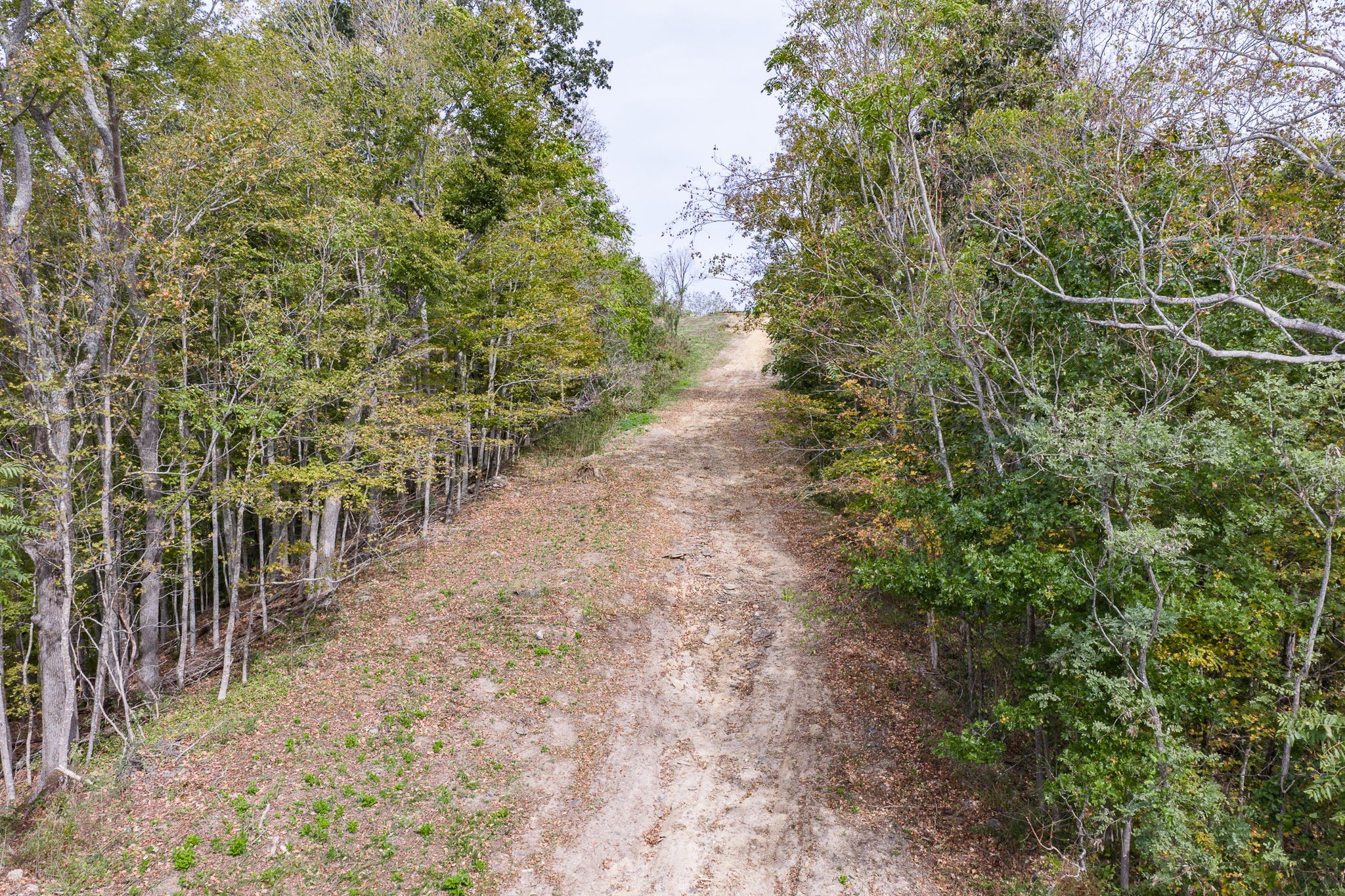 0 Helms Hollow Road Silver Point TN 38582