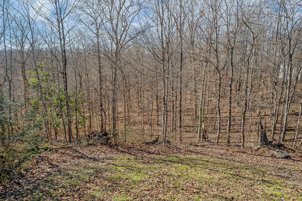 94 Cummins Court Celina TN 38551