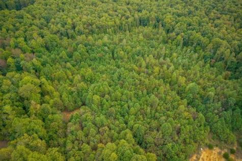500 Moonlight Trail Sparta TN 38583