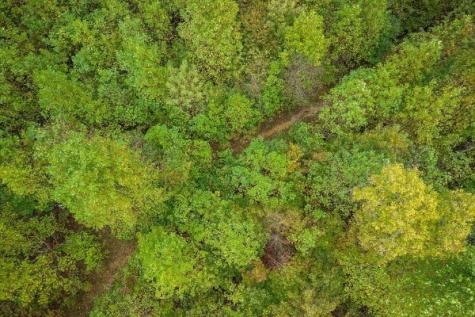 500 Moonlight Trail Sparta TN 38583