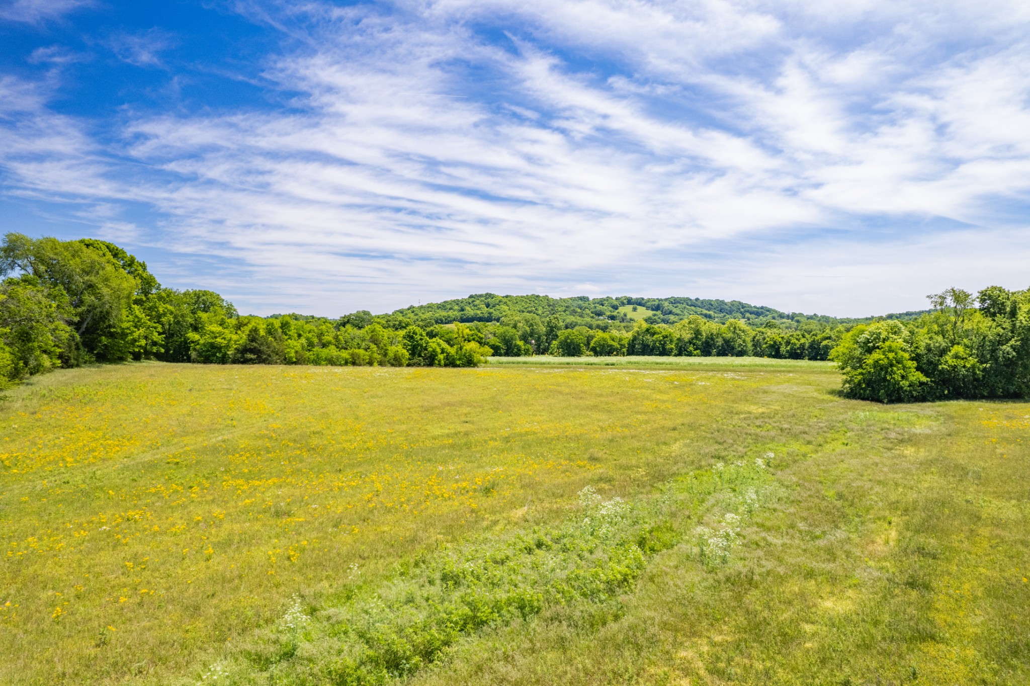 32 Hart Leonard Road Cornersville TN 37047
