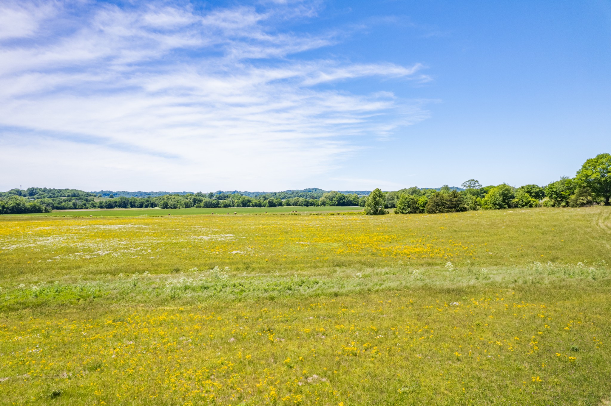 32 Hart Leonard Road Cornersville TN 37047