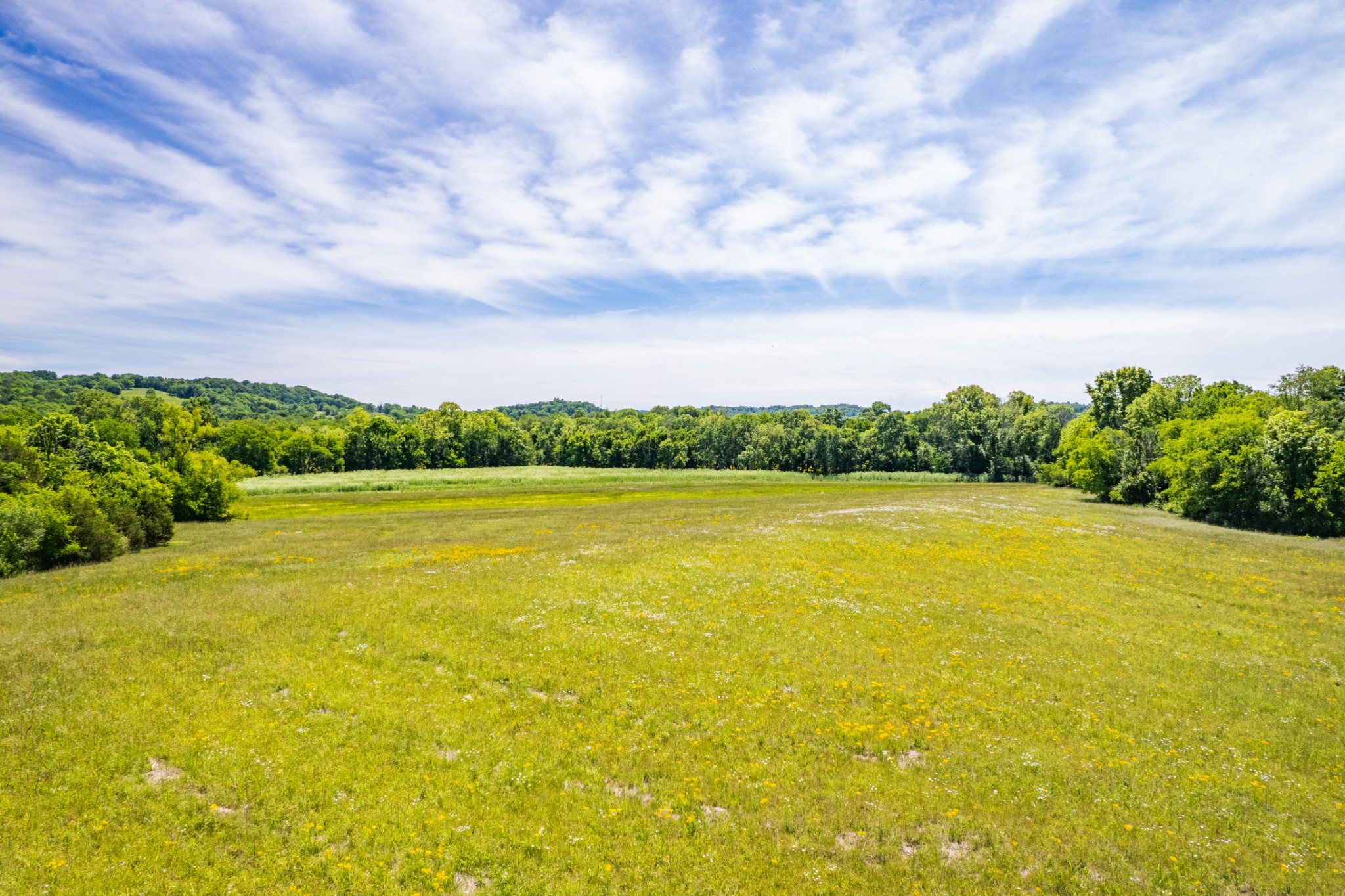 32 Hart Leonard Road Cornersville TN 37047
