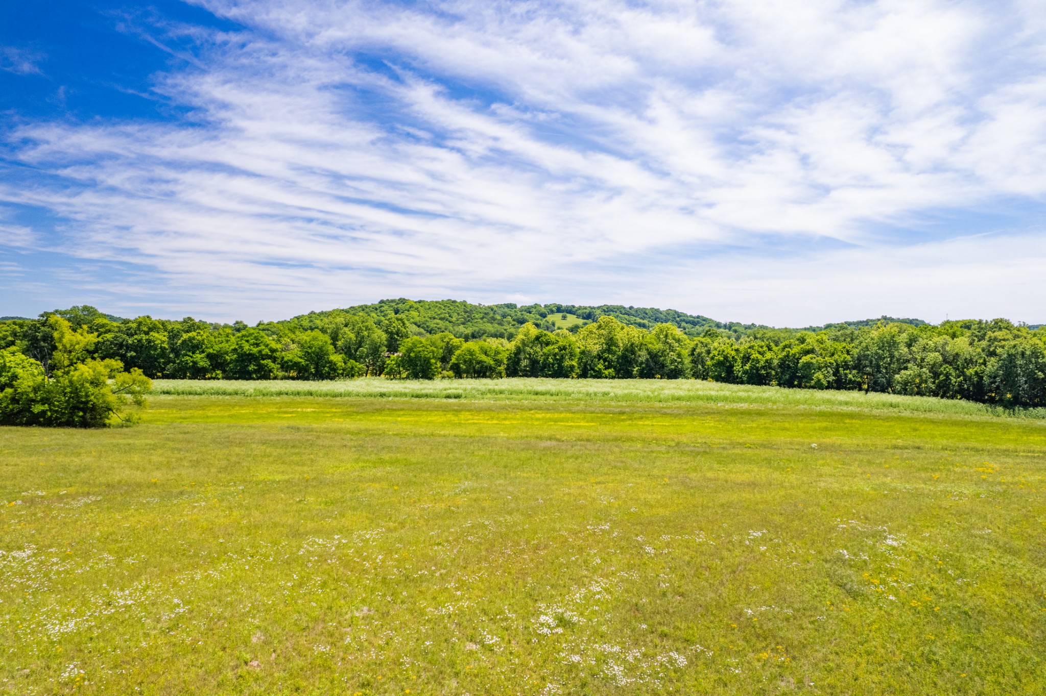 32 Hart Leonard Road Cornersville TN 37047