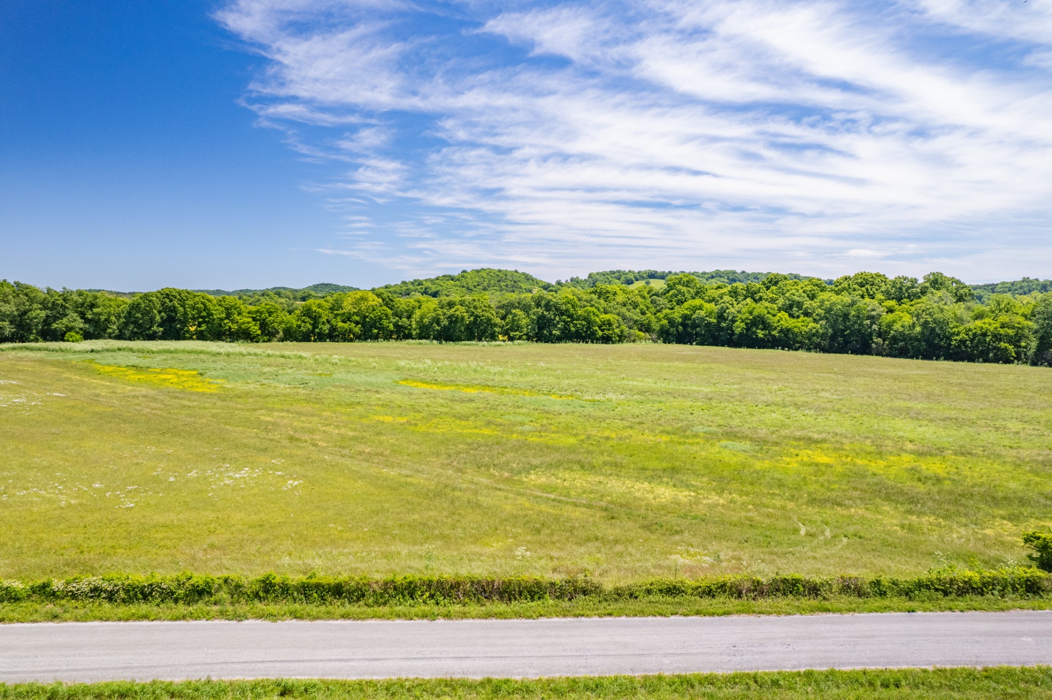 32 Hart Leonard Road Cornersville TN 37047