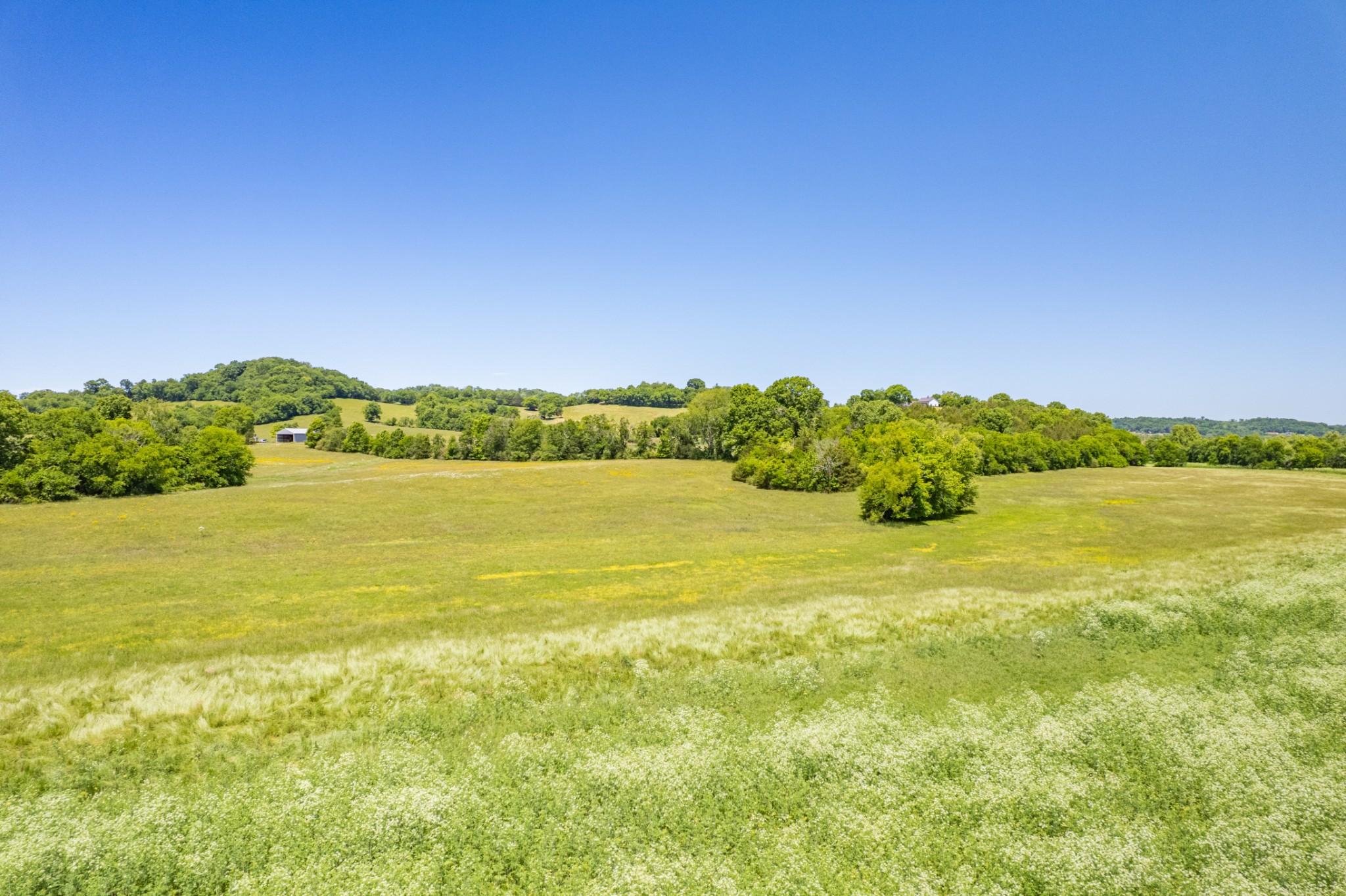 32 Hart Leonard Road Cornersville TN 37047