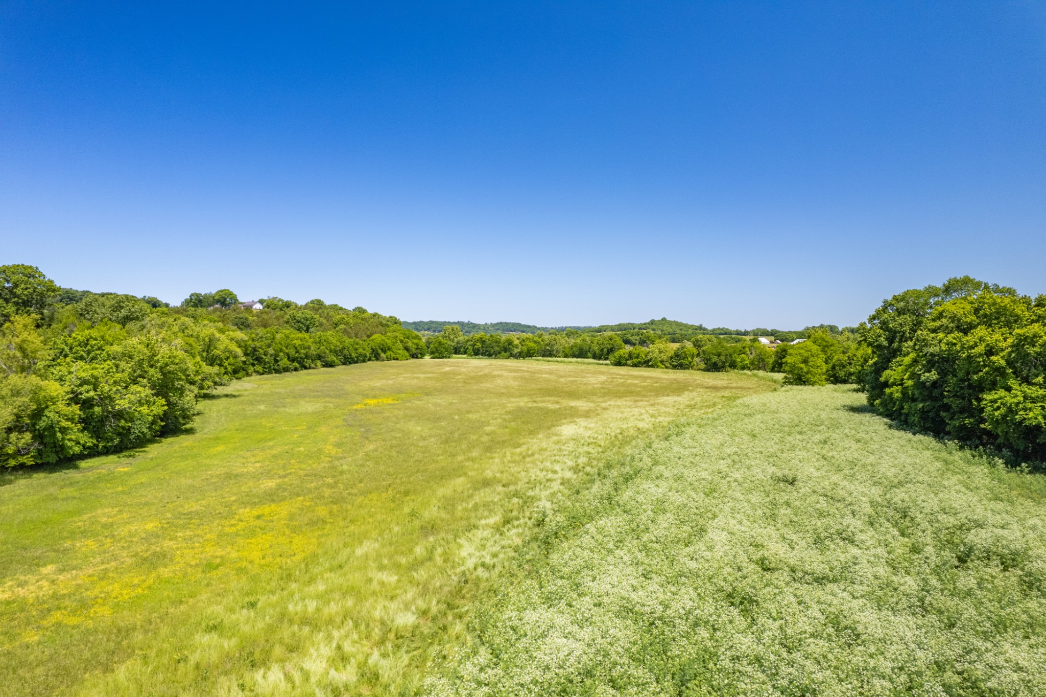 32 Hart Leonard Road Cornersville TN 37047