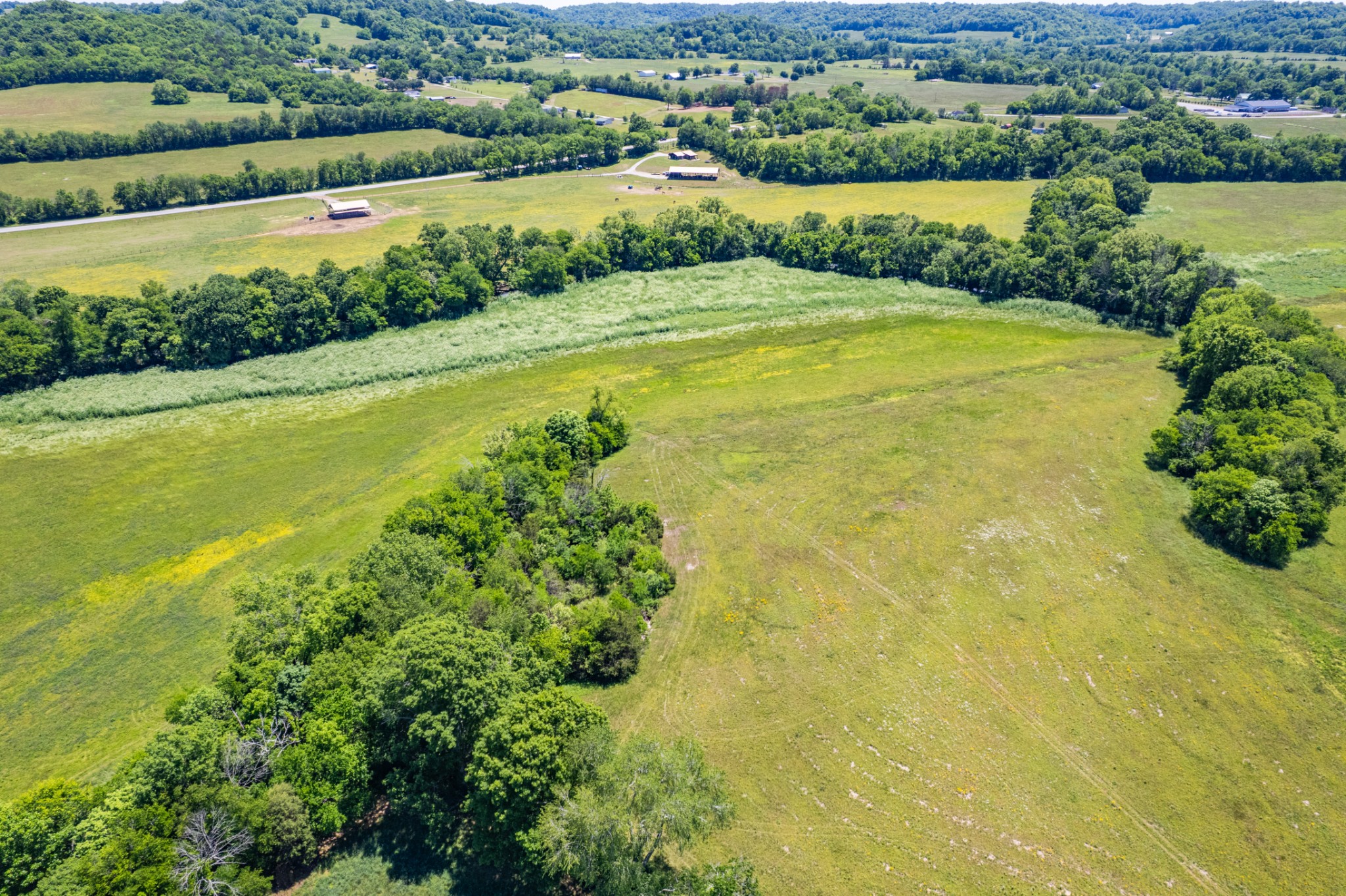 32 Hart Leonard Road Cornersville TN 37047