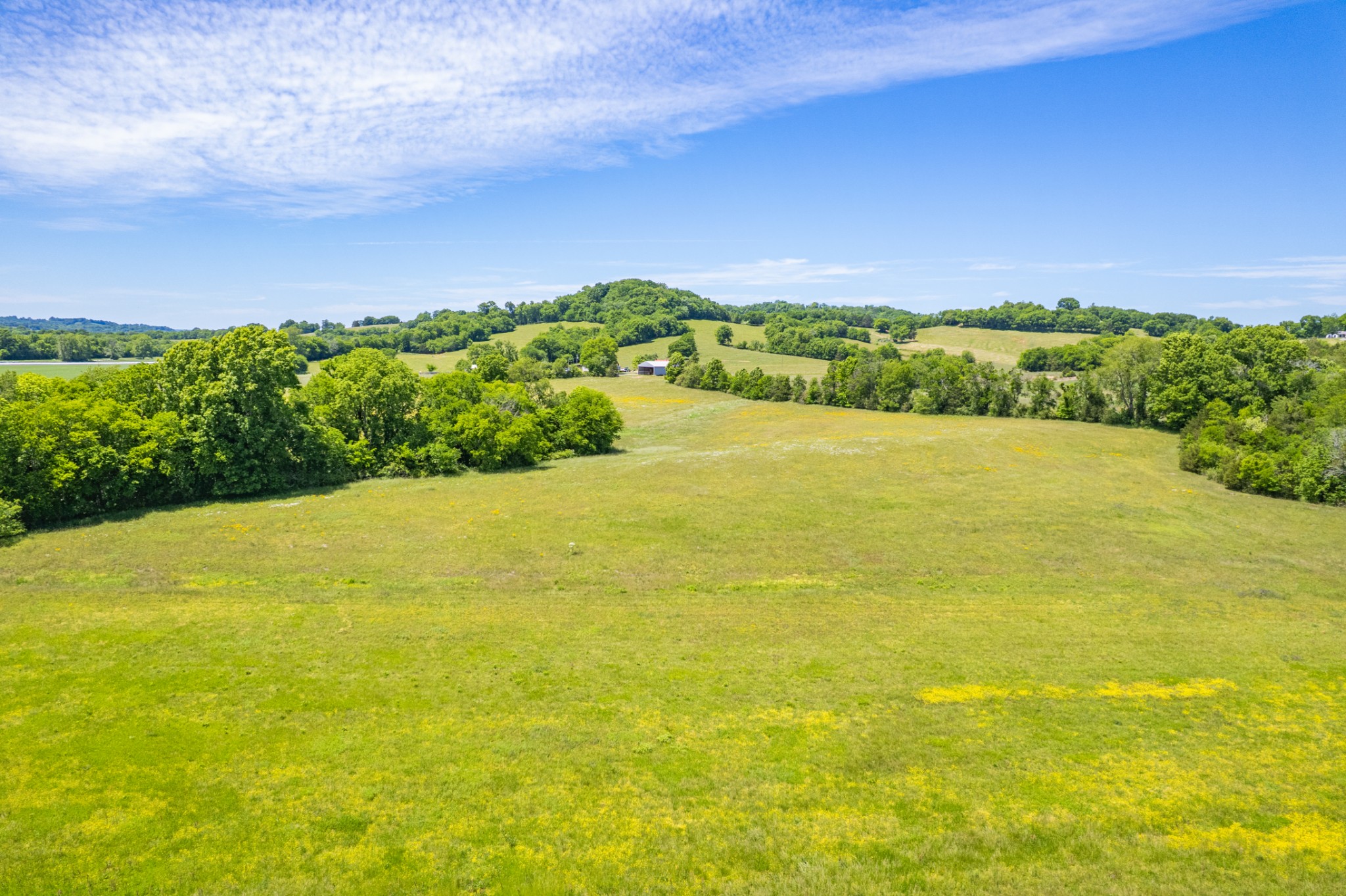 32 Hart Leonard Road Cornersville TN 37047