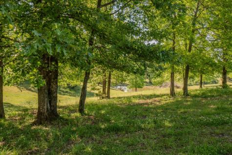 875 Waterloo Road Westpoint TN 38486