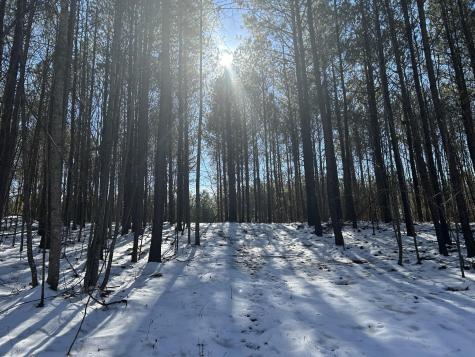 320 Waterwheel Way Jasper TN 37347