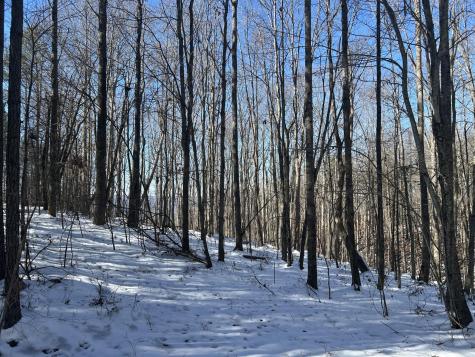 320 Waterwheel Way Jasper TN 37347