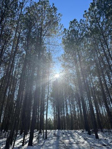 320 Waterwheel Way Jasper TN 37347