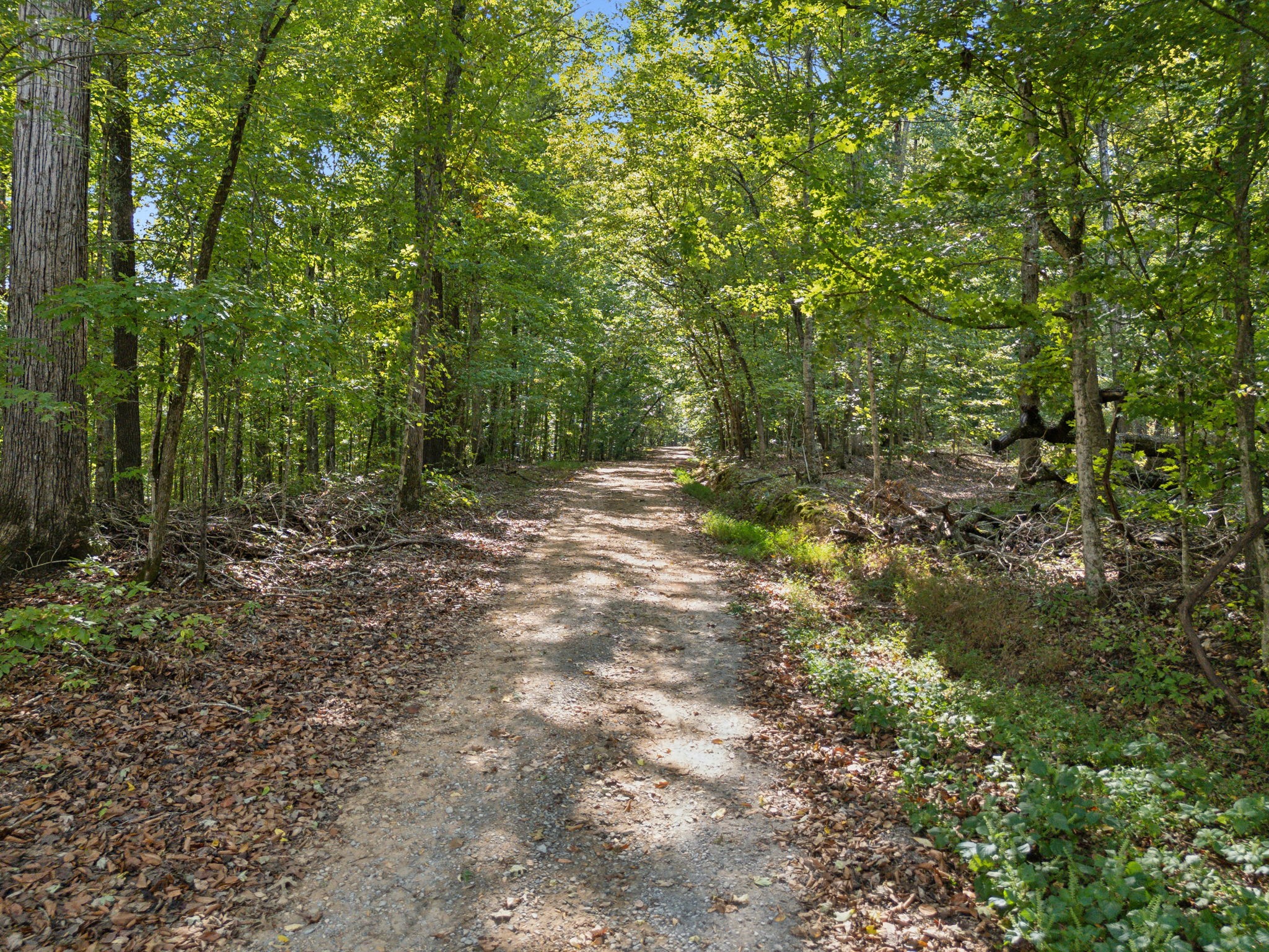 0 Danley Road, E Charlotte TN 37036