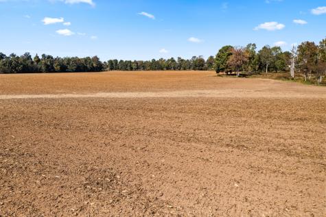 0 Hulsey Road Orlinda TN 37141