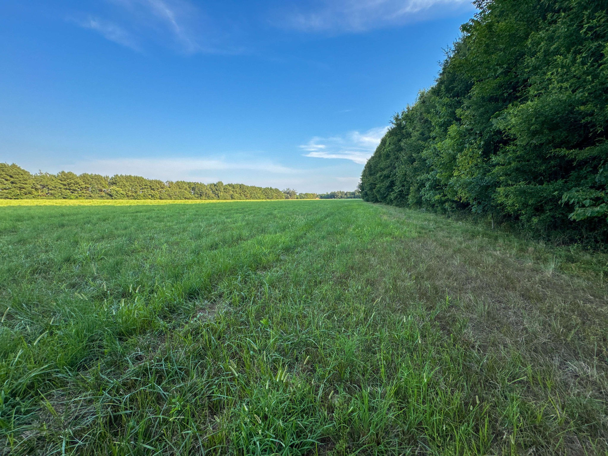 0 Leath Road Counce TN 38326