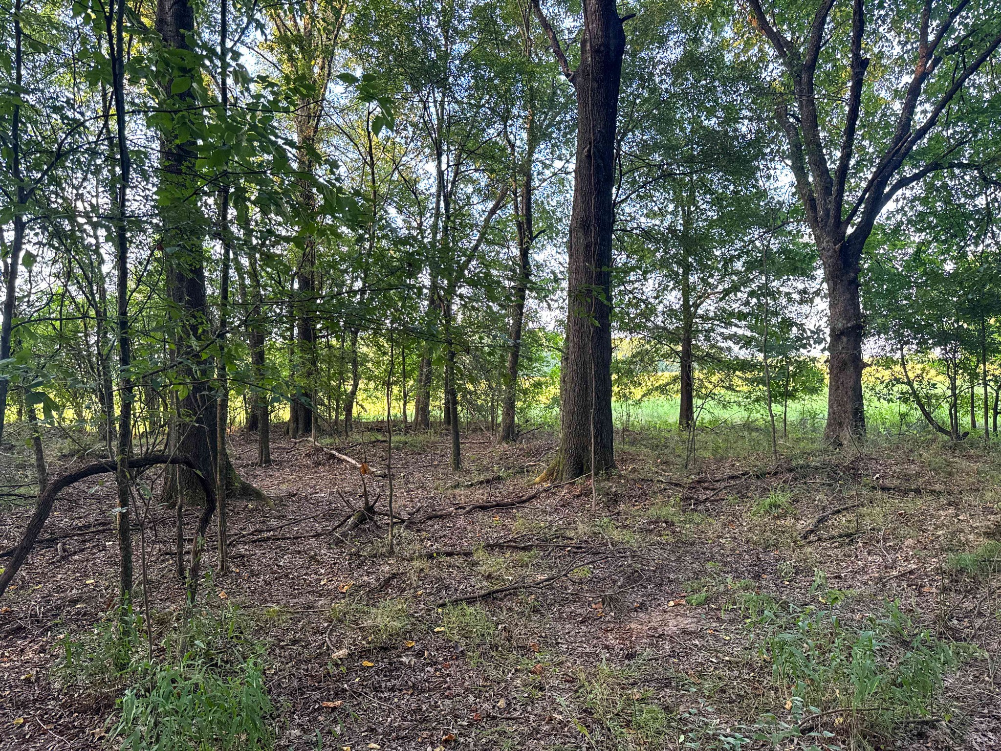 0 Leath Road Counce TN 38326