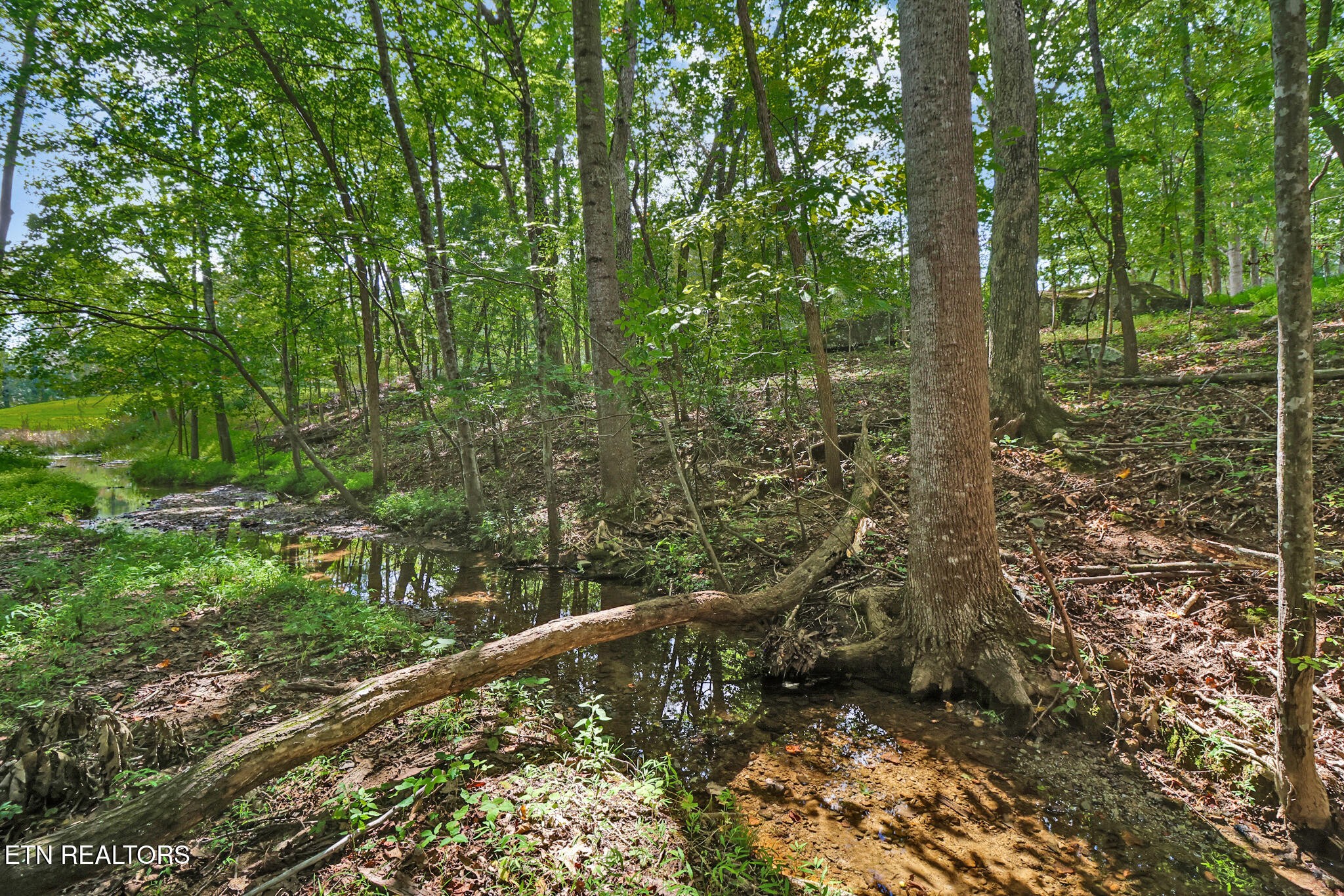 104 Flossmoor Circle Crossville TN 38558