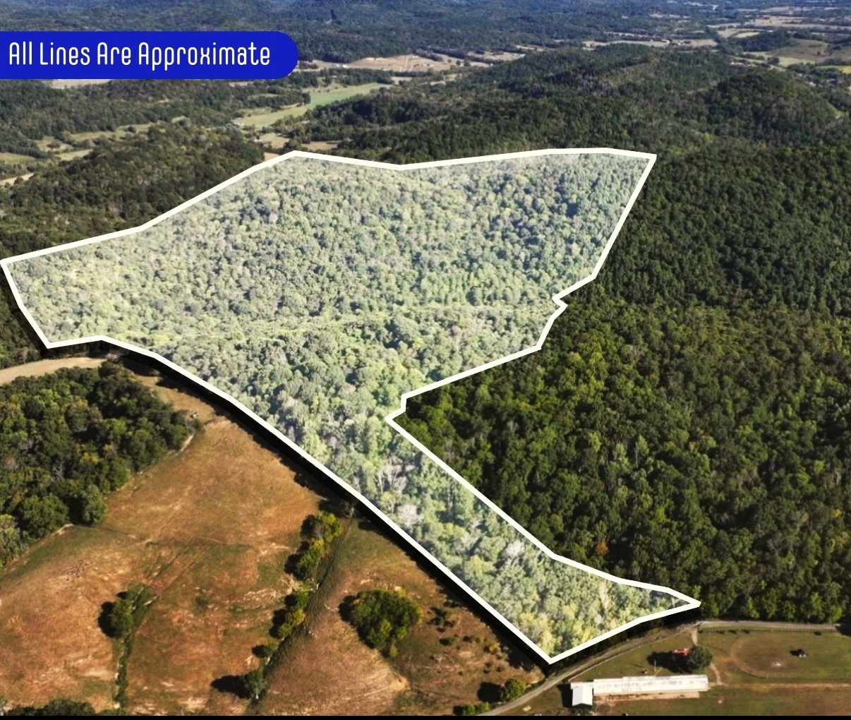 20 Cedar Bluff Road Lafayette TN 37083