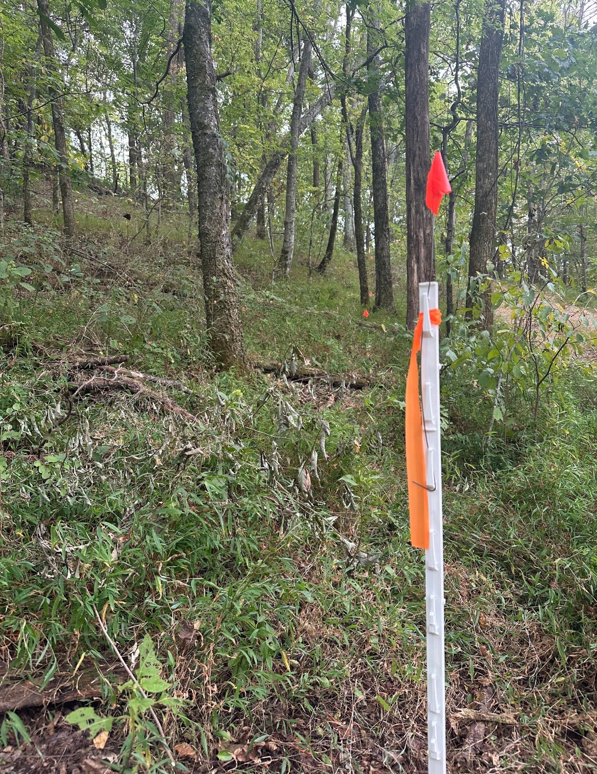 20 Cedar Bluff Road Lafayette TN 37083