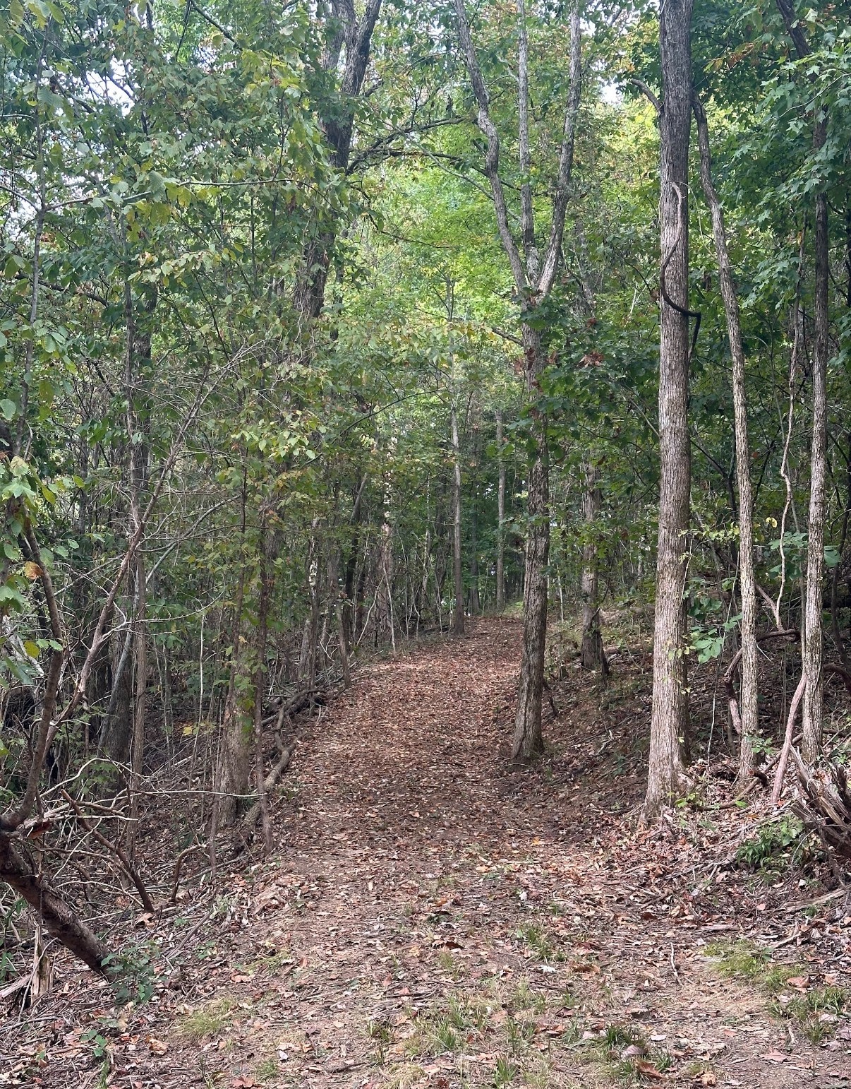 20 Cedar Bluff Road Lafayette TN 37083