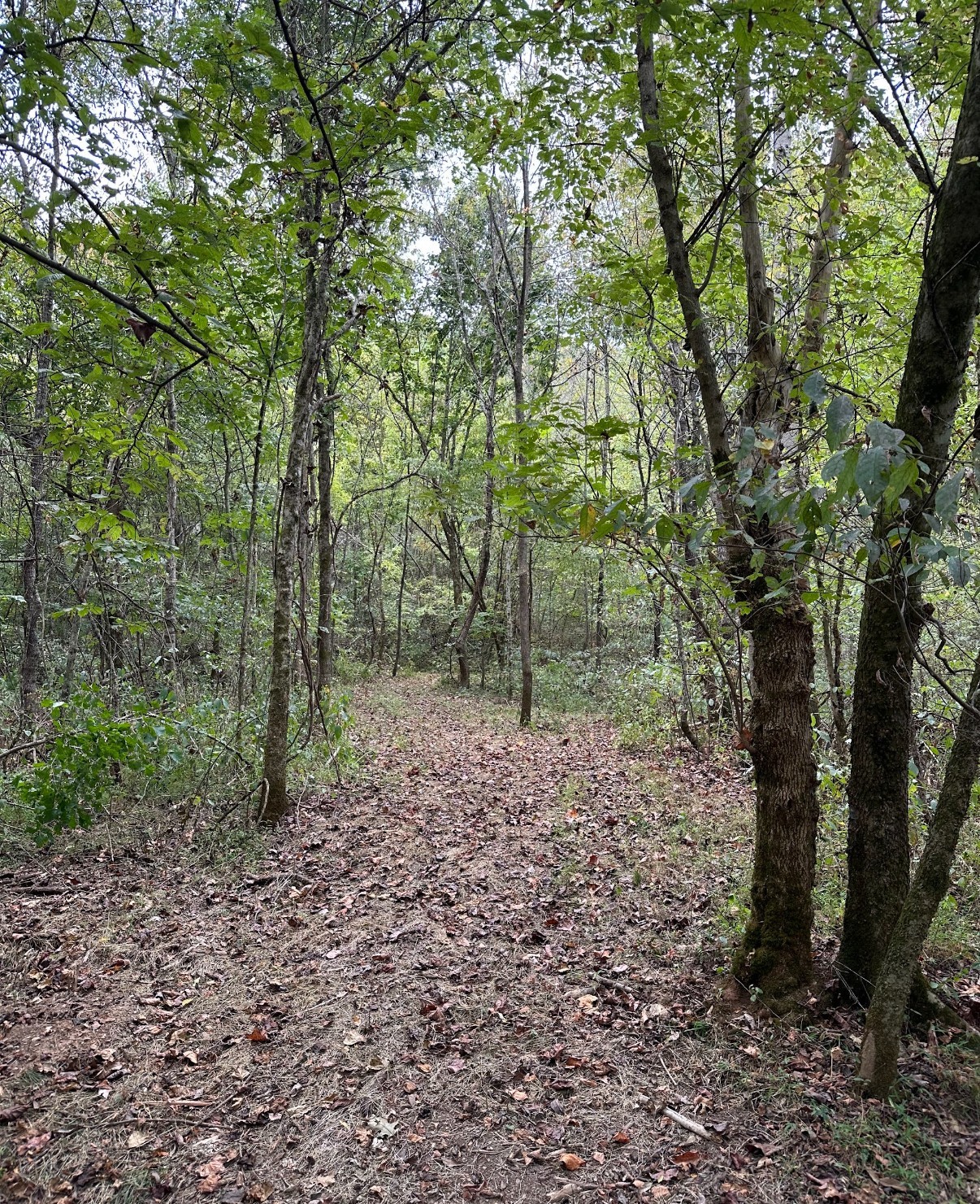 20 Cedar Bluff Road Lafayette TN 37083