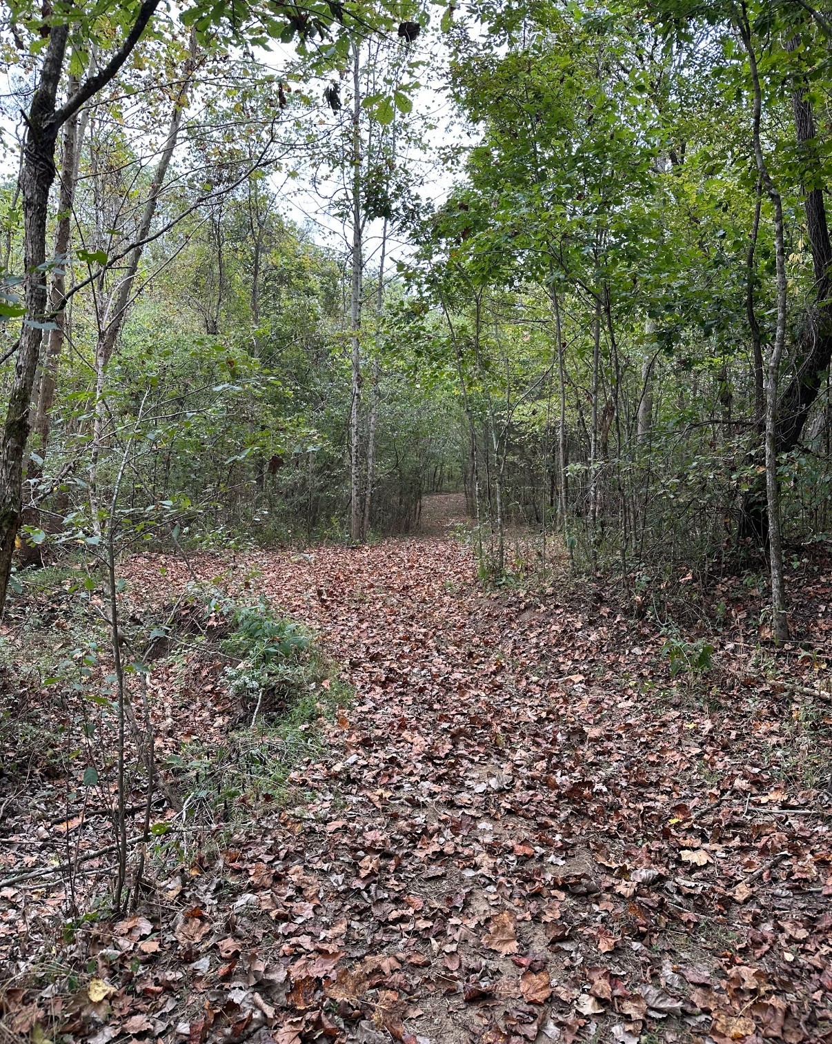 20 Cedar Bluff Road Lafayette TN 37083