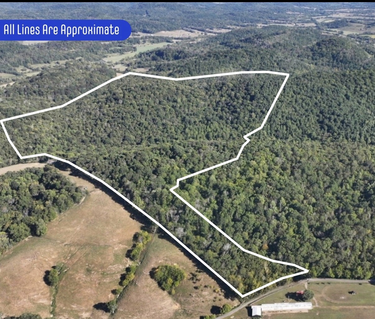 20 Cedar Bluff Road Lafayette TN 37083