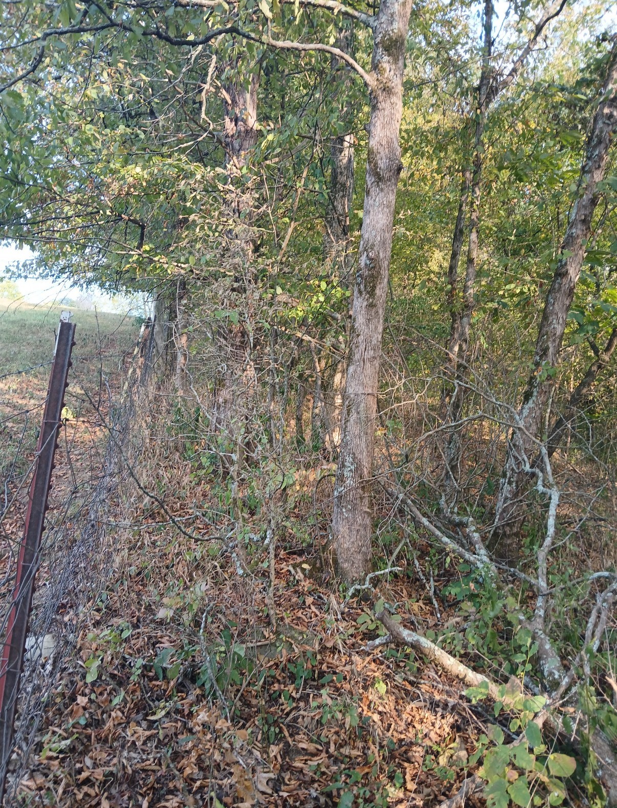 20 Cedar Bluff Road Lafayette TN 37083