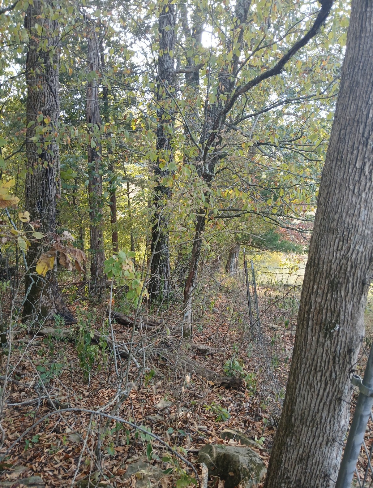 20 Cedar Bluff Road Lafayette TN 37083