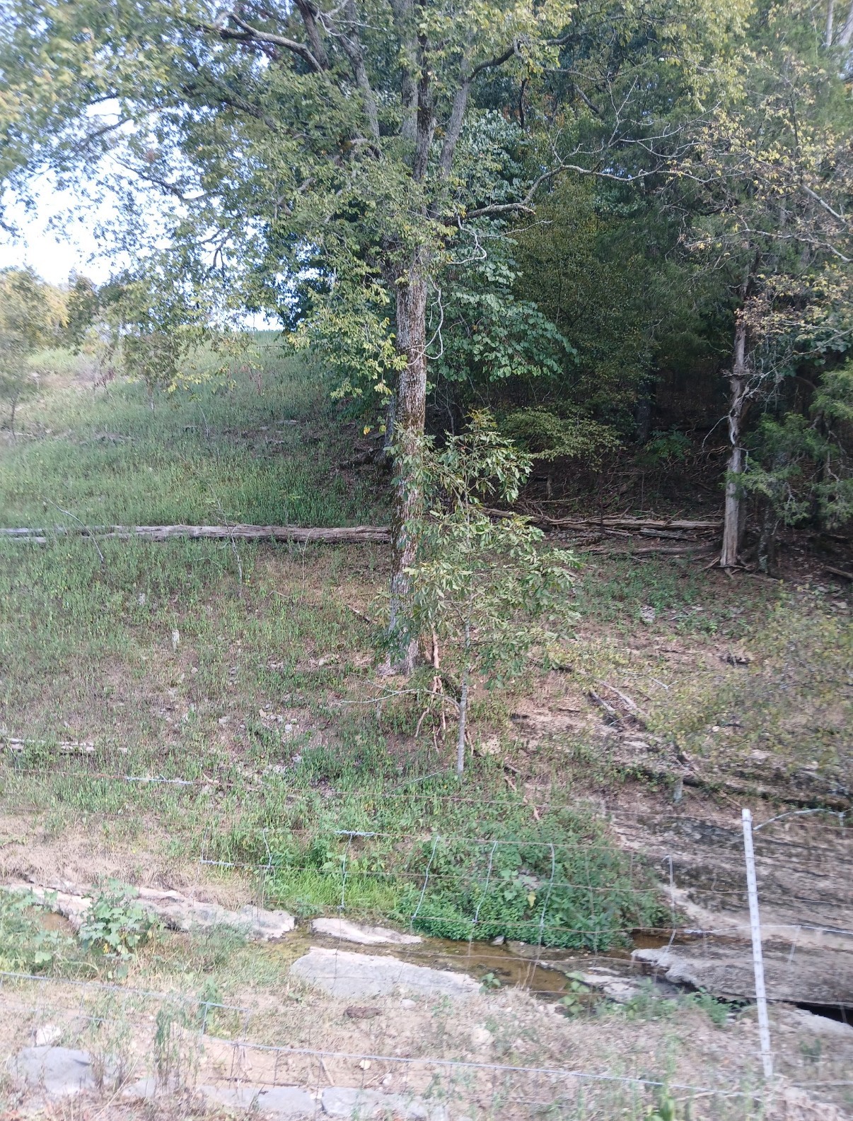 20 Cedar Bluff Road Lafayette TN 37083