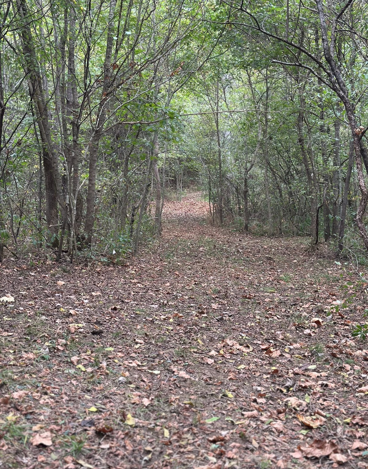 20 Cedar Bluff Road Lafayette TN 37083