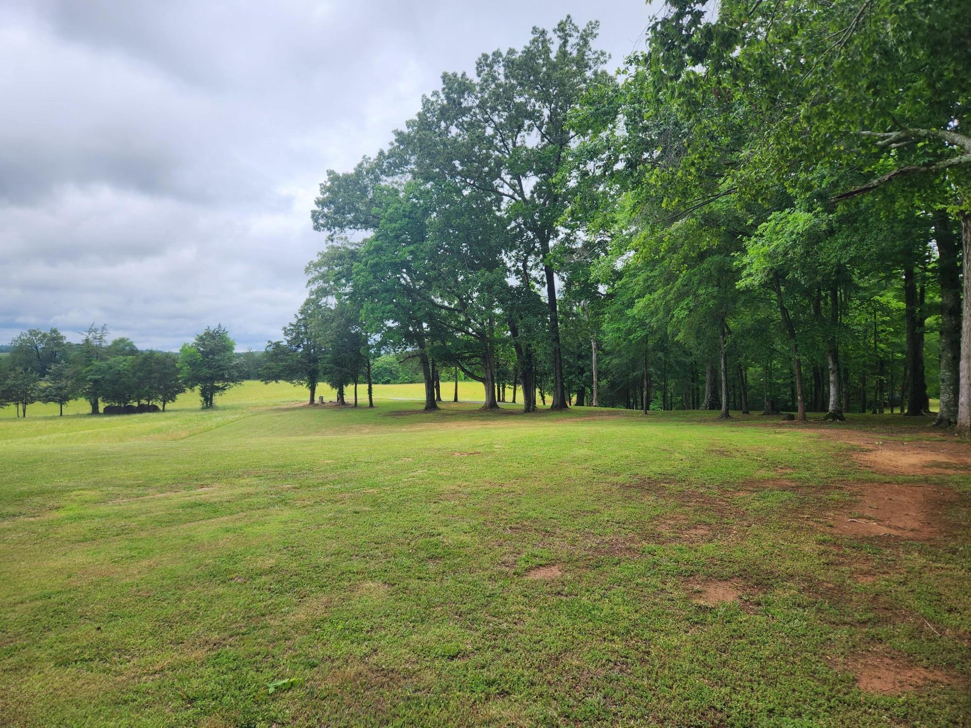 499 County Road 740 Riceville TN 37370