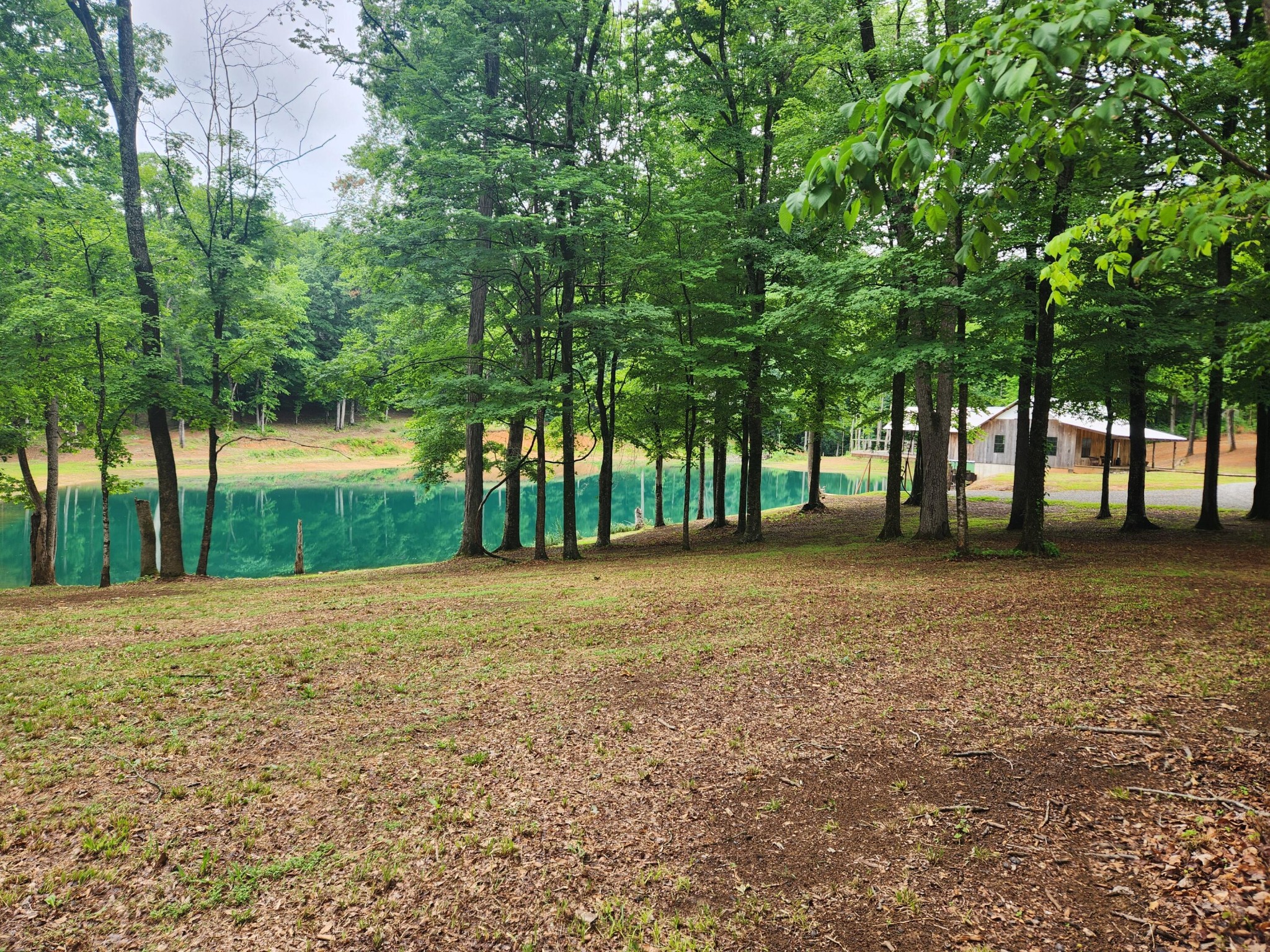 499 County Road 740 Riceville TN 37370
