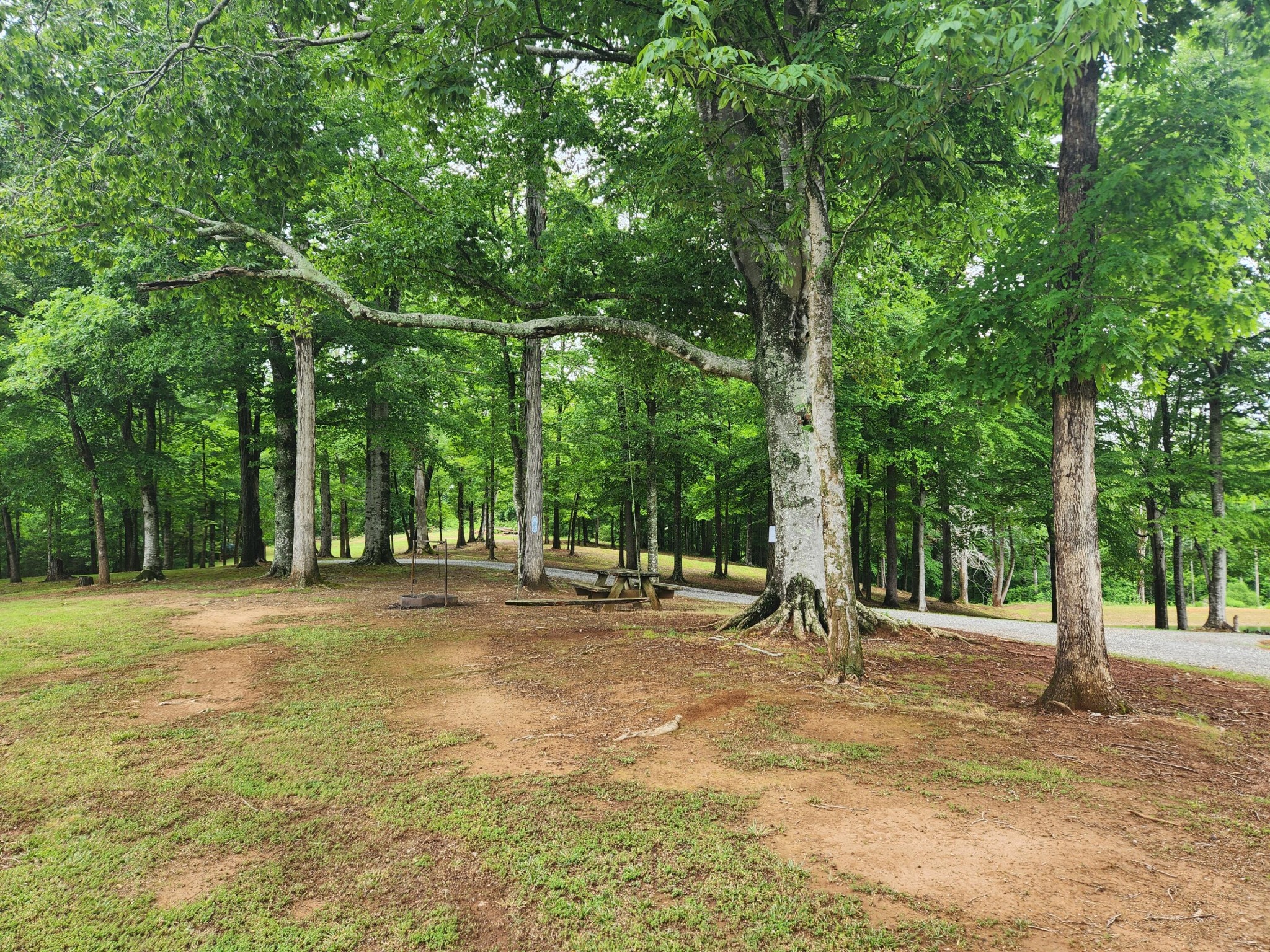499 County Road 740 Riceville TN 37370