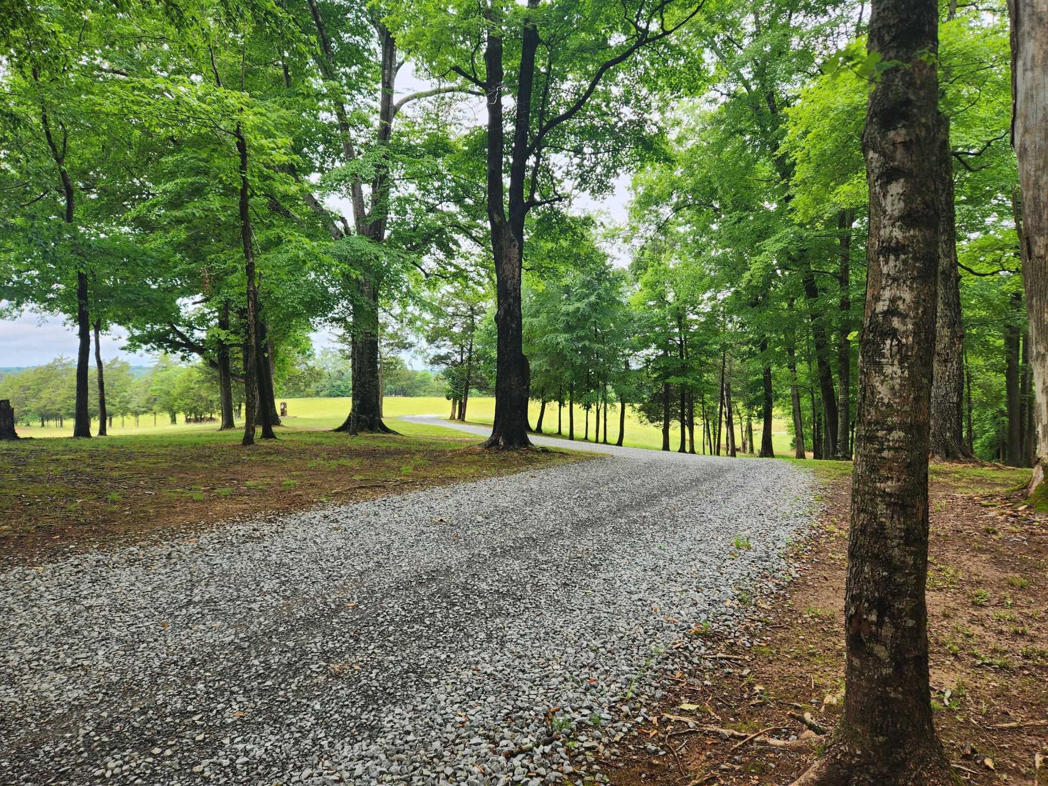 499 County Road 740 Riceville TN 37370