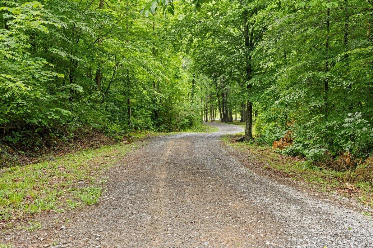 499 County Road 740 Riceville TN 37370