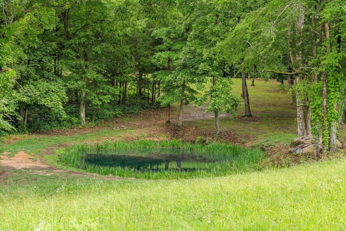 499 County Road 740 Riceville TN 37370