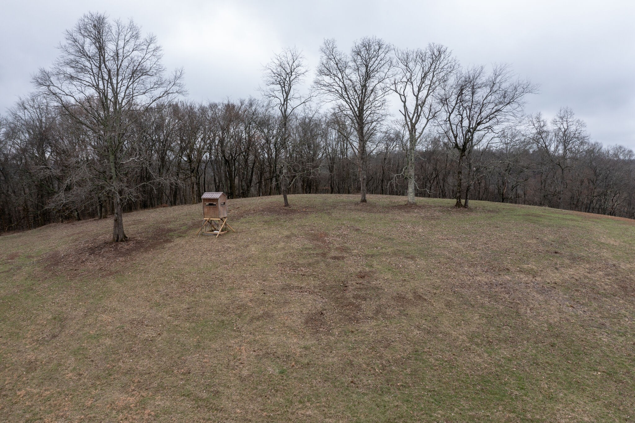 0 Molino Road Fayetteville TN 37334