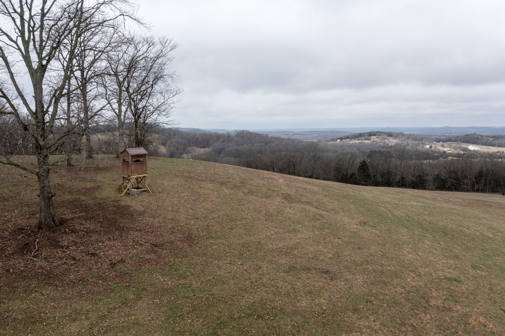 0 Molino Road Fayetteville TN 37334