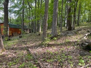 1552 Boone Drive Cookeville TN 38506