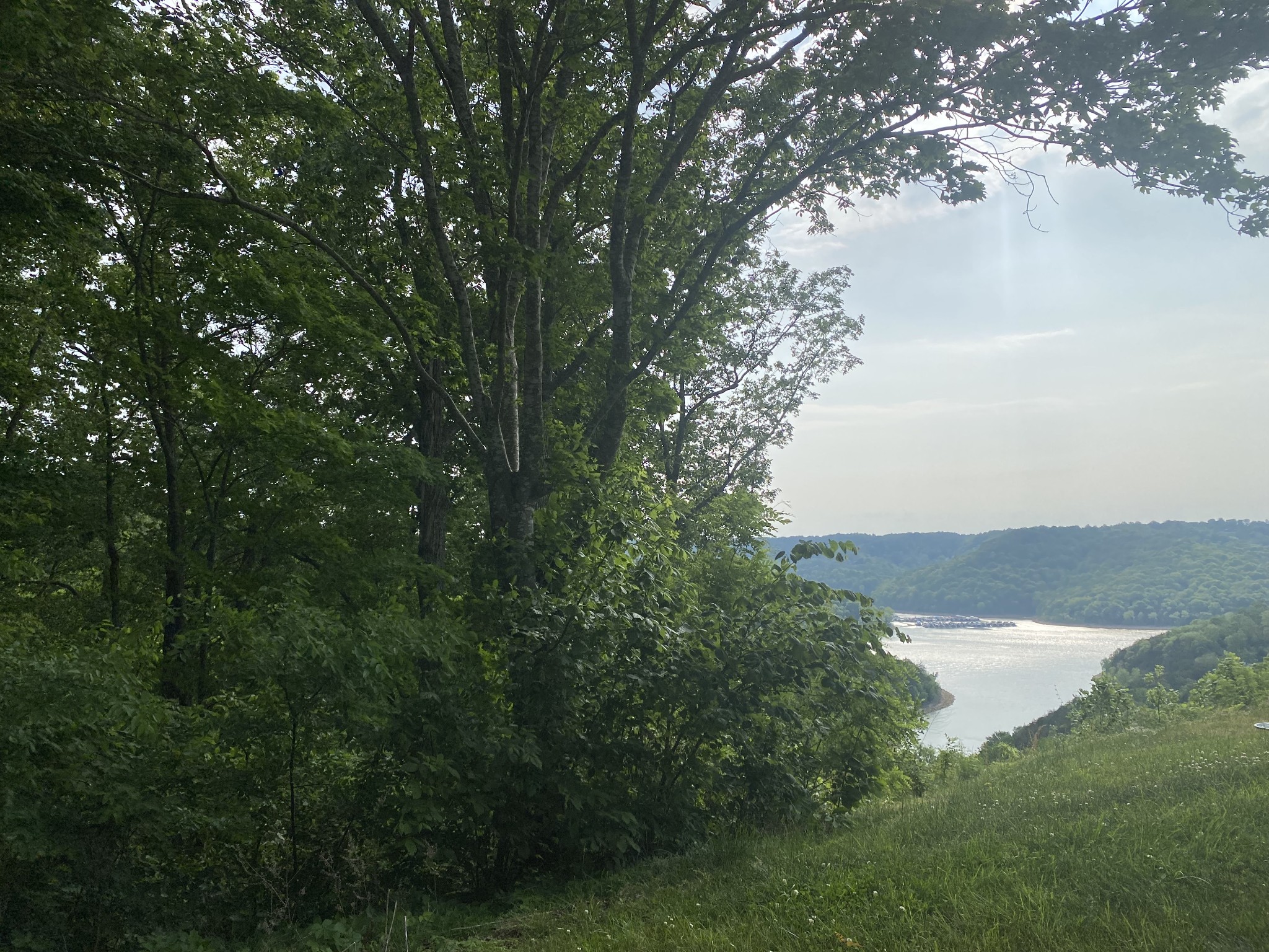 0 Seaton Drive Smithville TN 37166