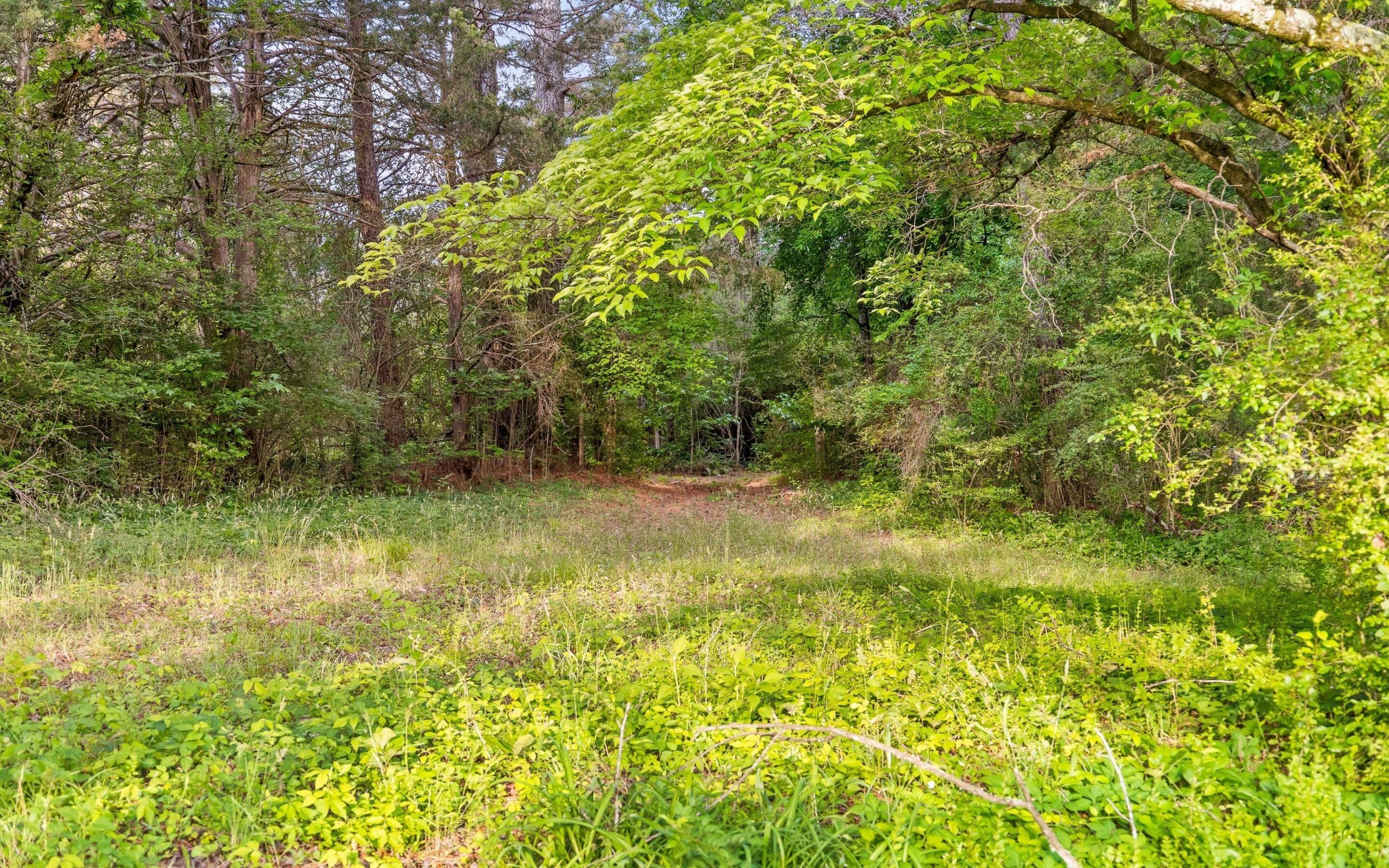 5513 Old Hunter Road Ooltewah TN 37363