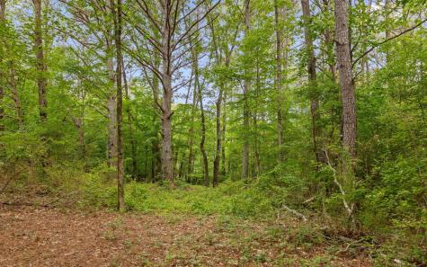 5513 Old Hunter Road Ooltewah TN 37363