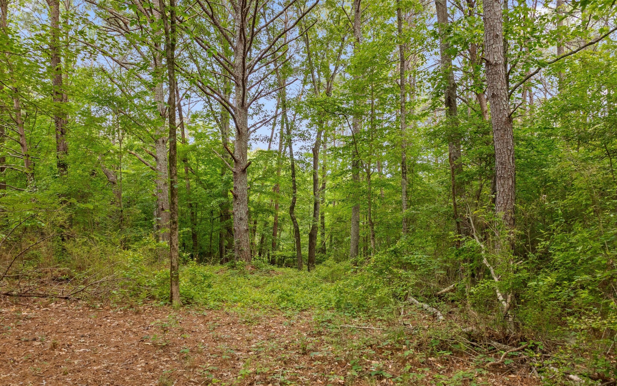 5513 Old Hunter Road Ooltewah TN 37363