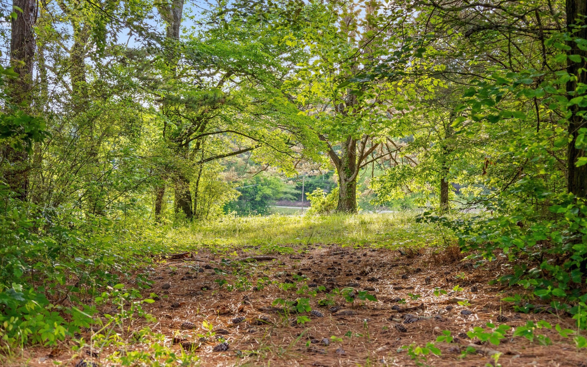 5513 Old Hunter Road Ooltewah TN 37363